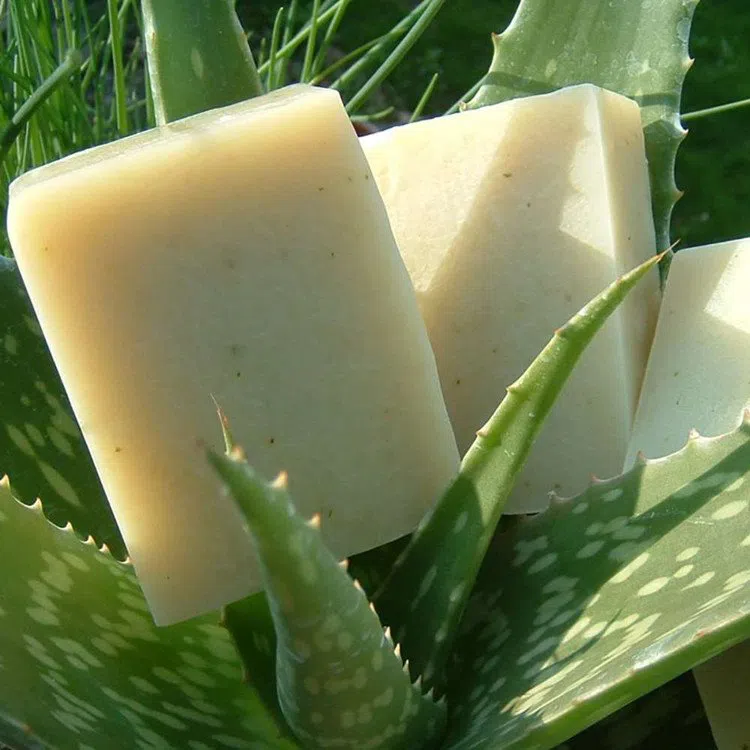 Savon personnalisé à l’Aloe Vera