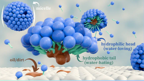 Comment fonctionne le savon, pourquoi le savon nettoie-t-il les choses ?