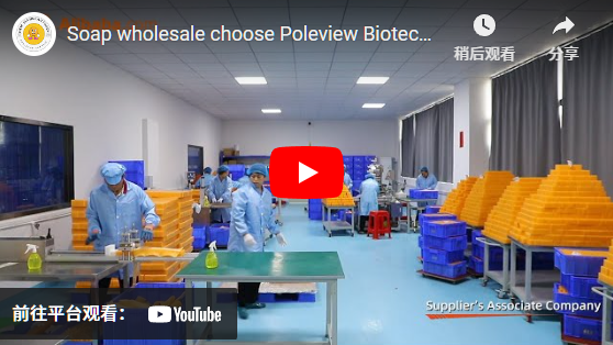 Vente en gros de savon, choisissez Poleview Biotechnology Group Co., LTD